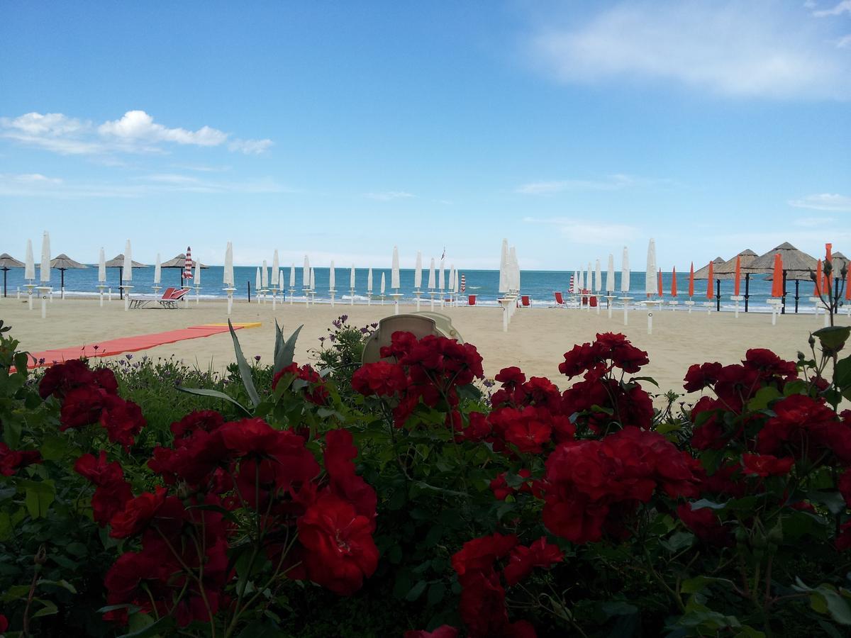 Hotel Silvi Silvi Marina Exteriör bild
